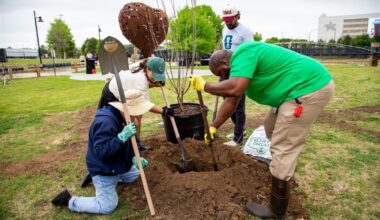 Arlington Hosts Community Tree Planting Ahead of FIFA World Cup 2026