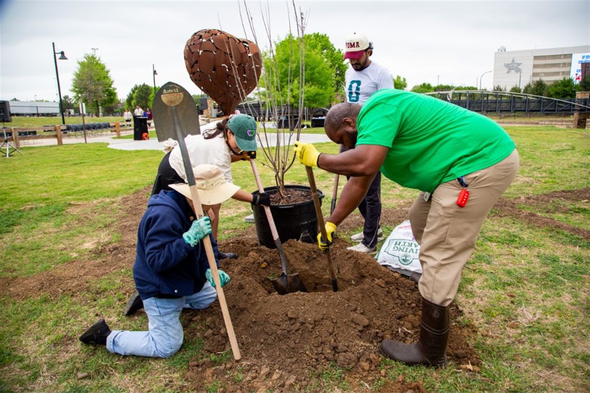 Arlington Hosts Community Tree Planting Ahead of FIFA World Cup 2026