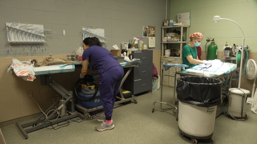 Organization one of 38 selected statewide to receive funding aimed at reducing pet overpopulation