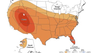 One perfect day before humidity, rain return