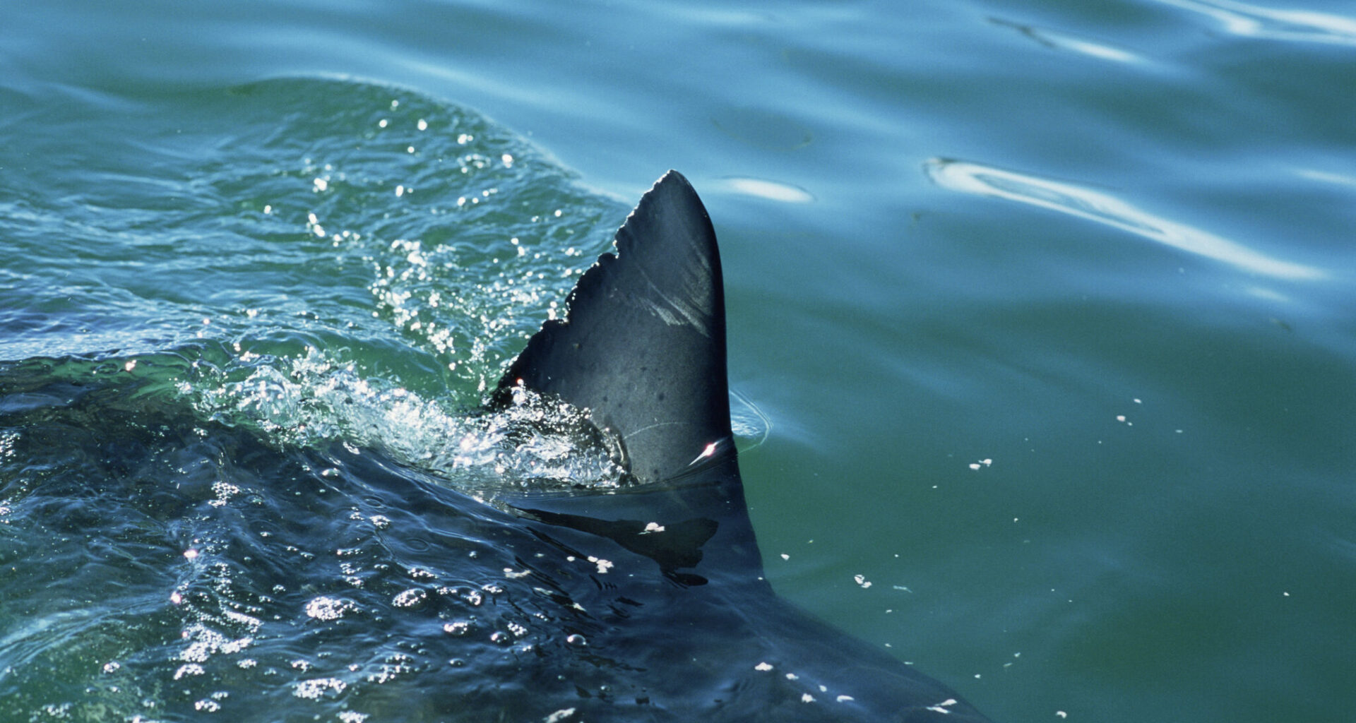 Save 25% on one of our favorite portable coffee makers for Cyber Monday.