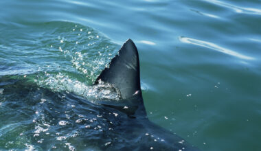 Save 25% on one of our favorite portable coffee makers for Cyber Monday.