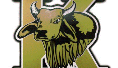 King Brahmas vs. Calallen Wildcats + How To Watch