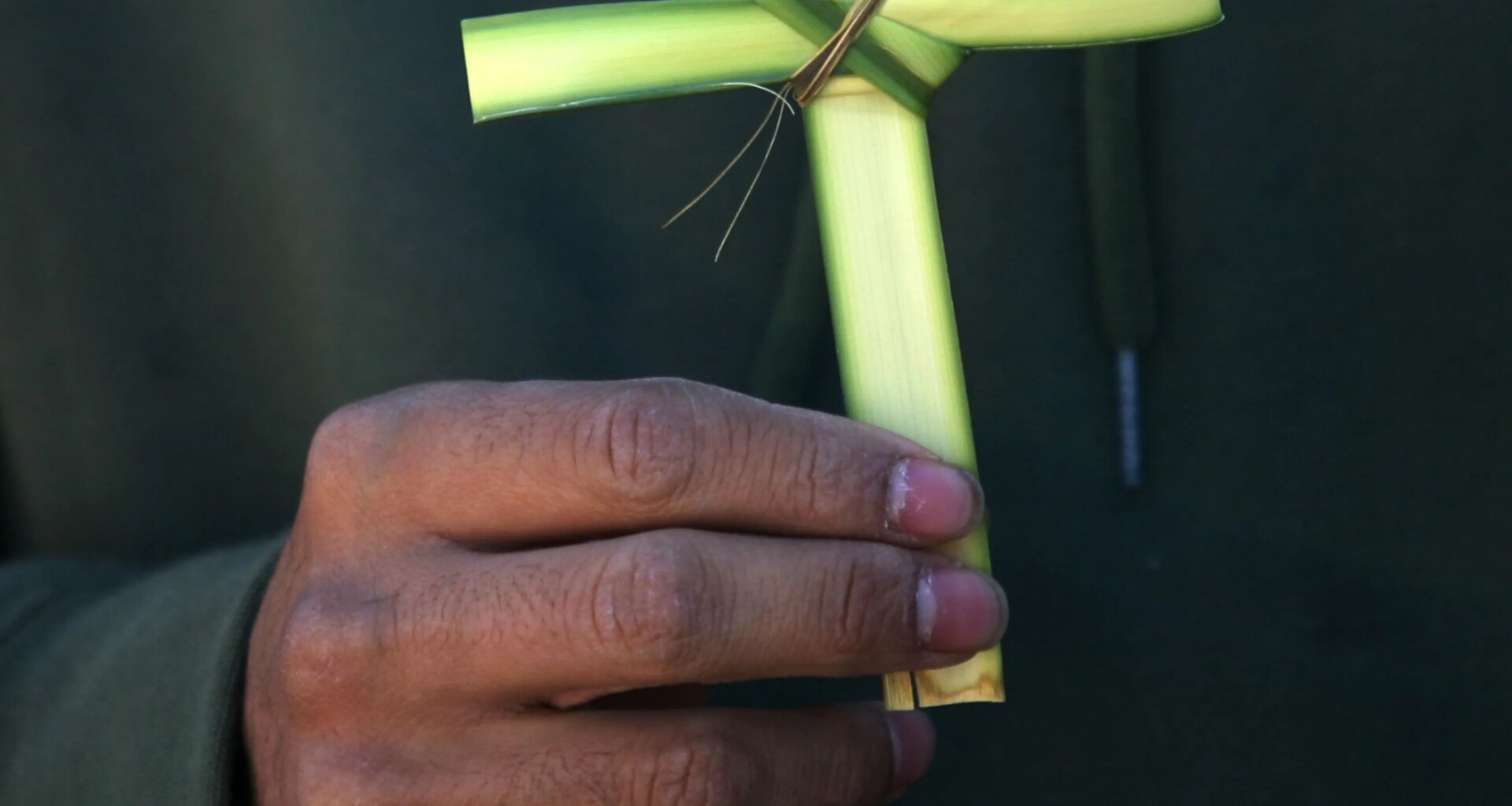 Palm Sunday 2026 meaning and Holy Week explained