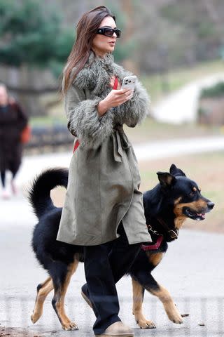 Emily RatajkowskiCredit: BACKGRID