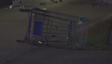 Pedestrian pushing cart struck, killed in Cloverleaf area hit-and-run