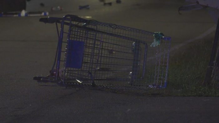 Pedestrian pushing cart struck, killed in Cloverleaf area hit-and-run