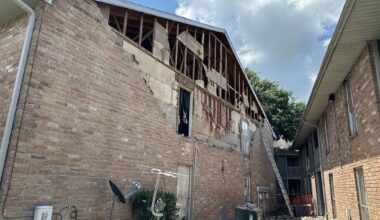 Dominic Anthony Walsh