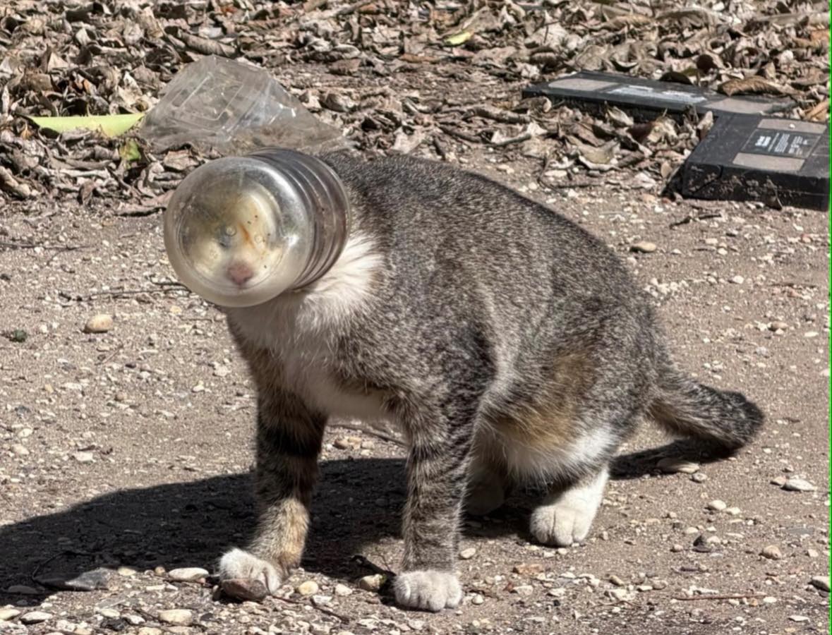 Law enforcement officials locked down the campus of Hill Country College Preparatory High School in Bulverde on Monday. Officials say a 15-year-old student shot and injured a teacher, then killed himself.