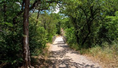 Hike These Hidden Gem Trails in Arlington Parks