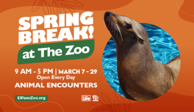 Yahoo lifestyle home