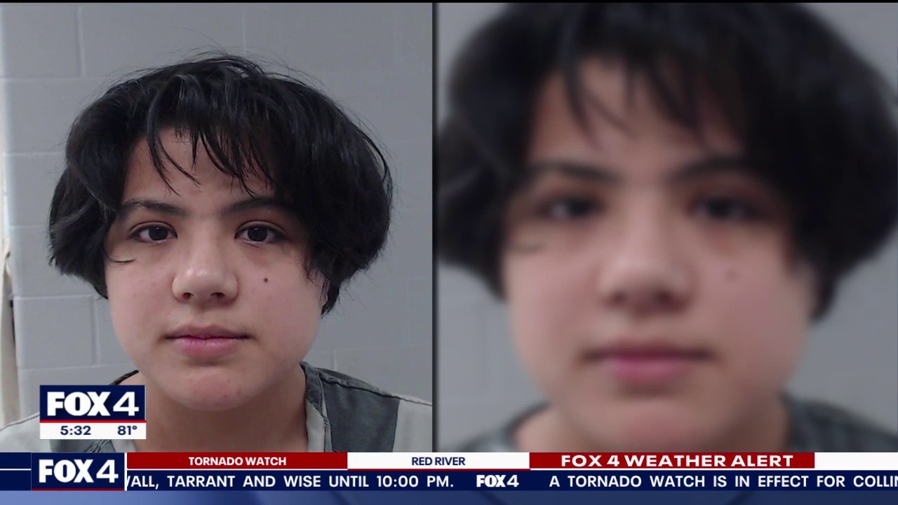 PREVIOUS COVERAGE: Texts reveal details in Prairieland ICE facility attack