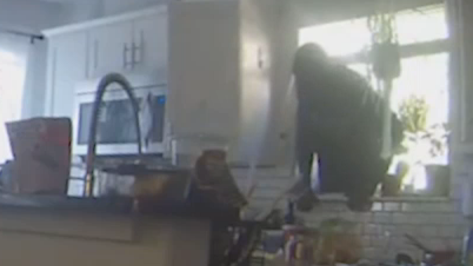 Video shows 'Spiderman from Hell' who police believe is responsible for multiple Montrose break-ins