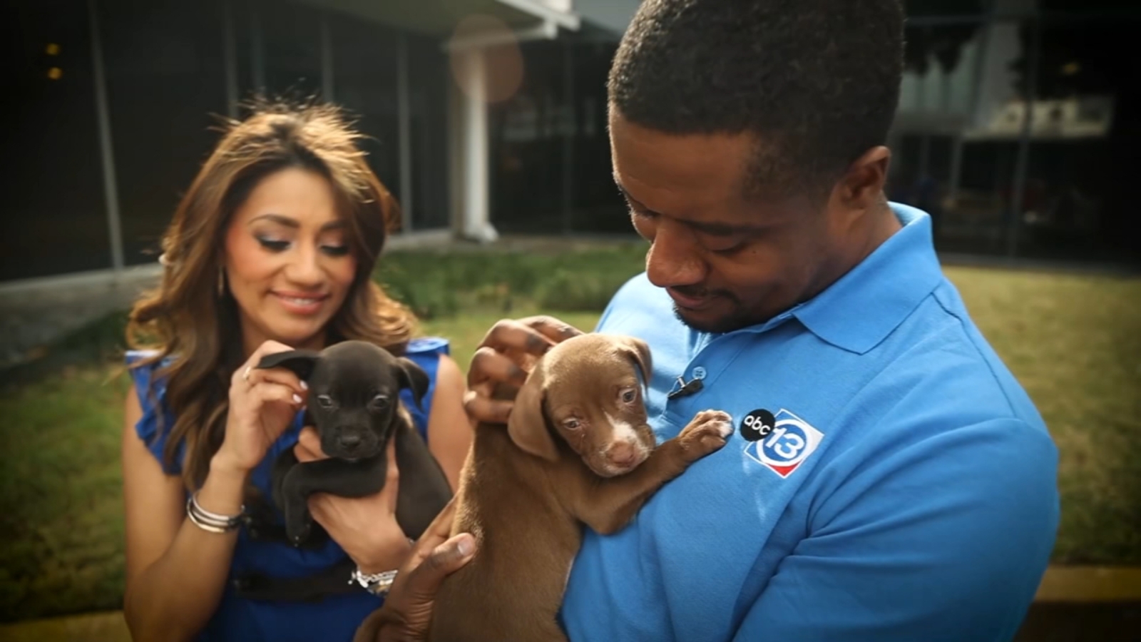 2026 ABC13 Pick Your Pet Adoption Drive: Find your new best friend at BARC Houston on March 27, 2026