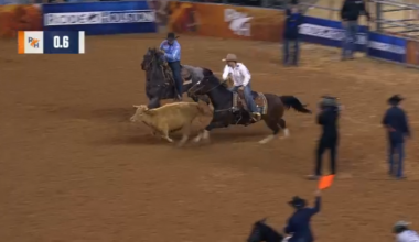 Steer euthanized after being injured during steer wrestling event at Houston Rodeo