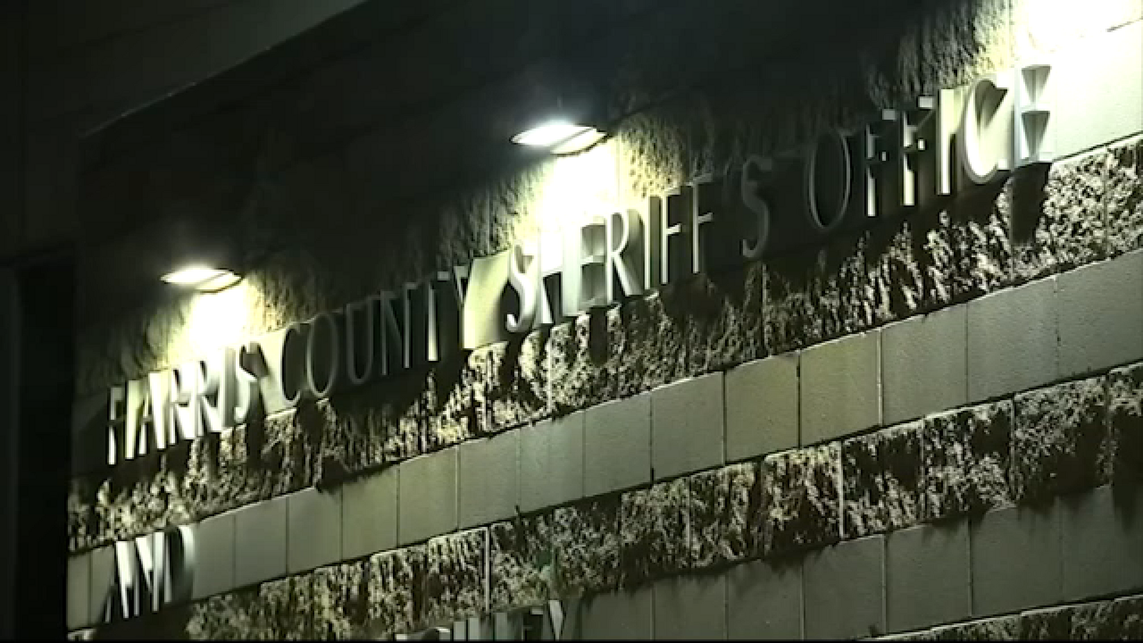 Woman arrested for allegedly helping murder suspect avoid capture, court documents say