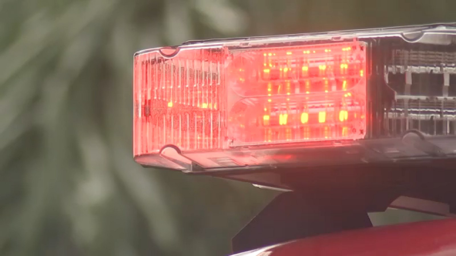 Prescribed burns to be conducted this week at Sylvan Rodriguez Nature Preserve and Houston Arboretum & Nature Center, HFD says