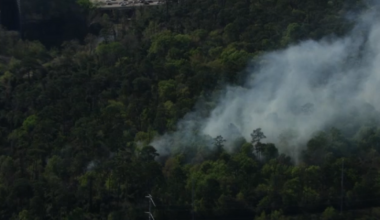 Prescribed burns completed at Sylvan Rodriguez Nature Preserve and Houston Arboretum & Nature Center, HFD says
