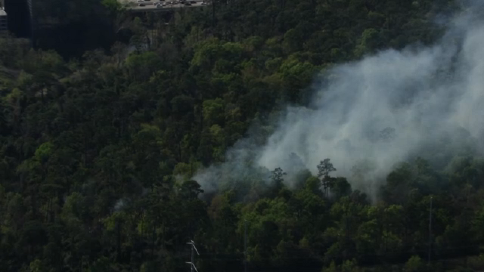 Prescribed burns completed at Sylvan Rodriguez Nature Preserve and Houston Arboretum & Nature Center, HFD says