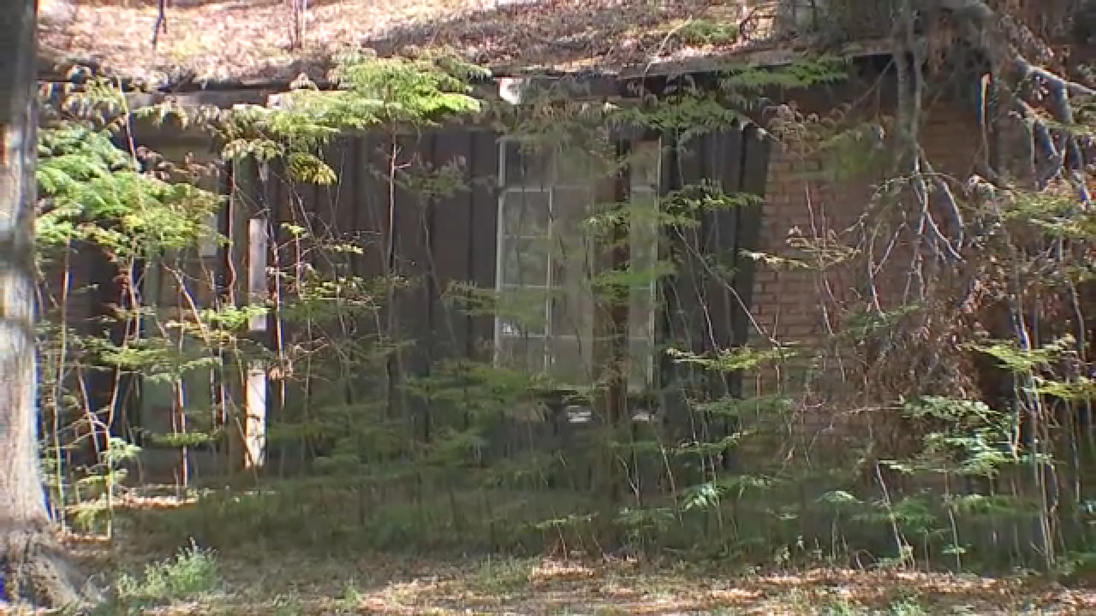 Man accused of shooting at 2 City of Houston code enforcement officers