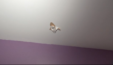 Woman living near Cypress Station says piece of meteor pierced home's roof