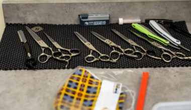 Texas will require proof of legal immigration status to get professional licenses