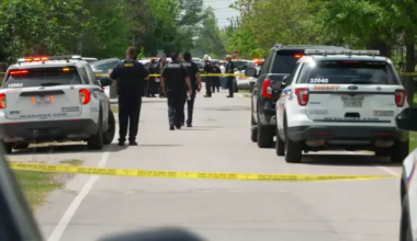 5-year-old child drowned in neighbor's pool in Cloverleaf area, according to Harris County Sheriff's Office