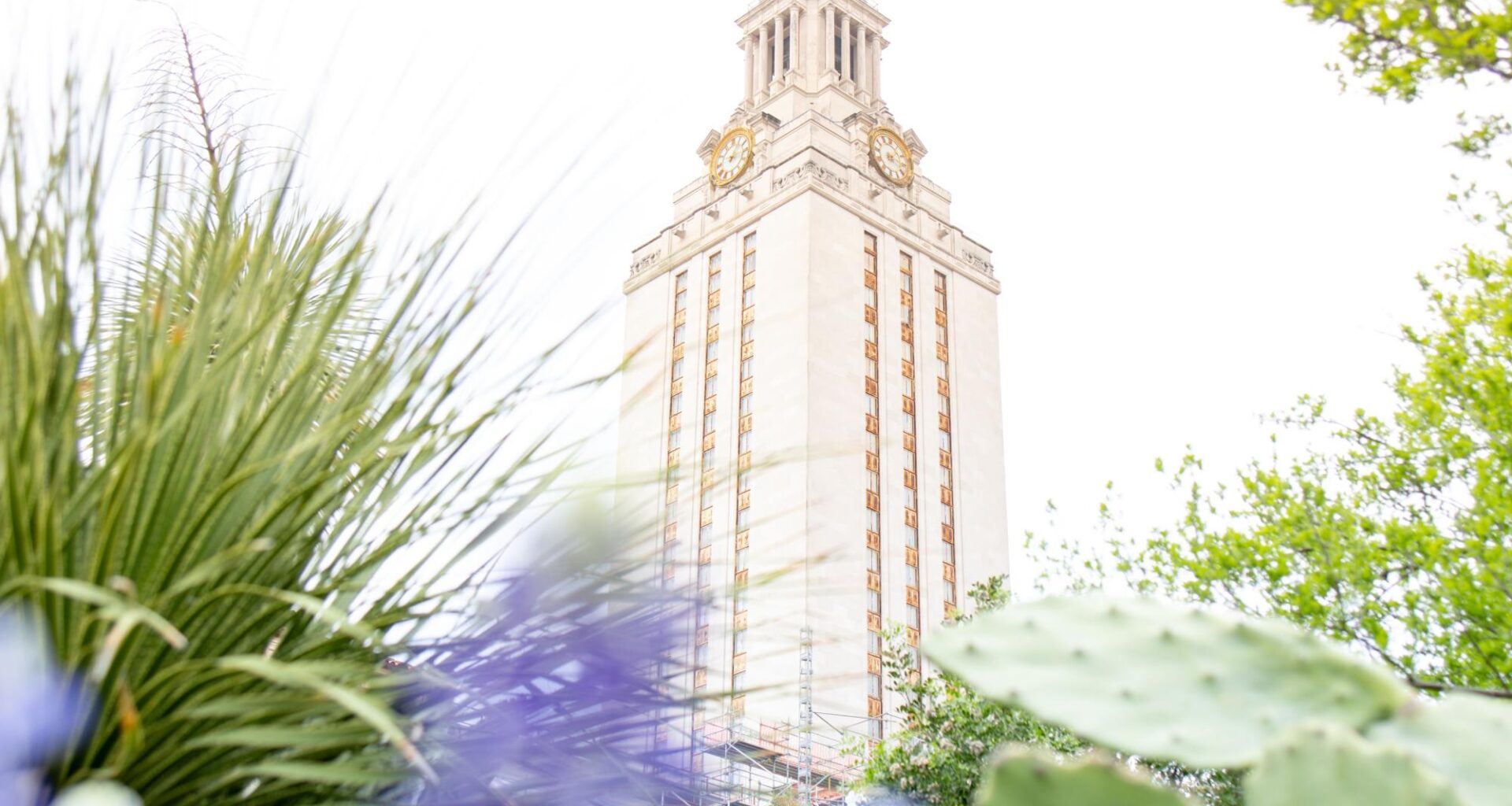 Texas’ 2026 primaries and runoffs – The Daily Texan