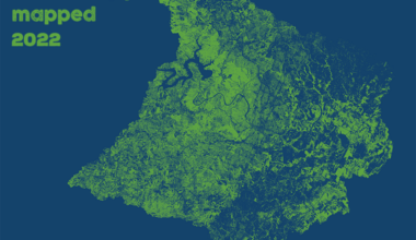 2022 tree canopy map image small.png