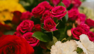 Meet two El Paso entrepreneurs – The Prospector