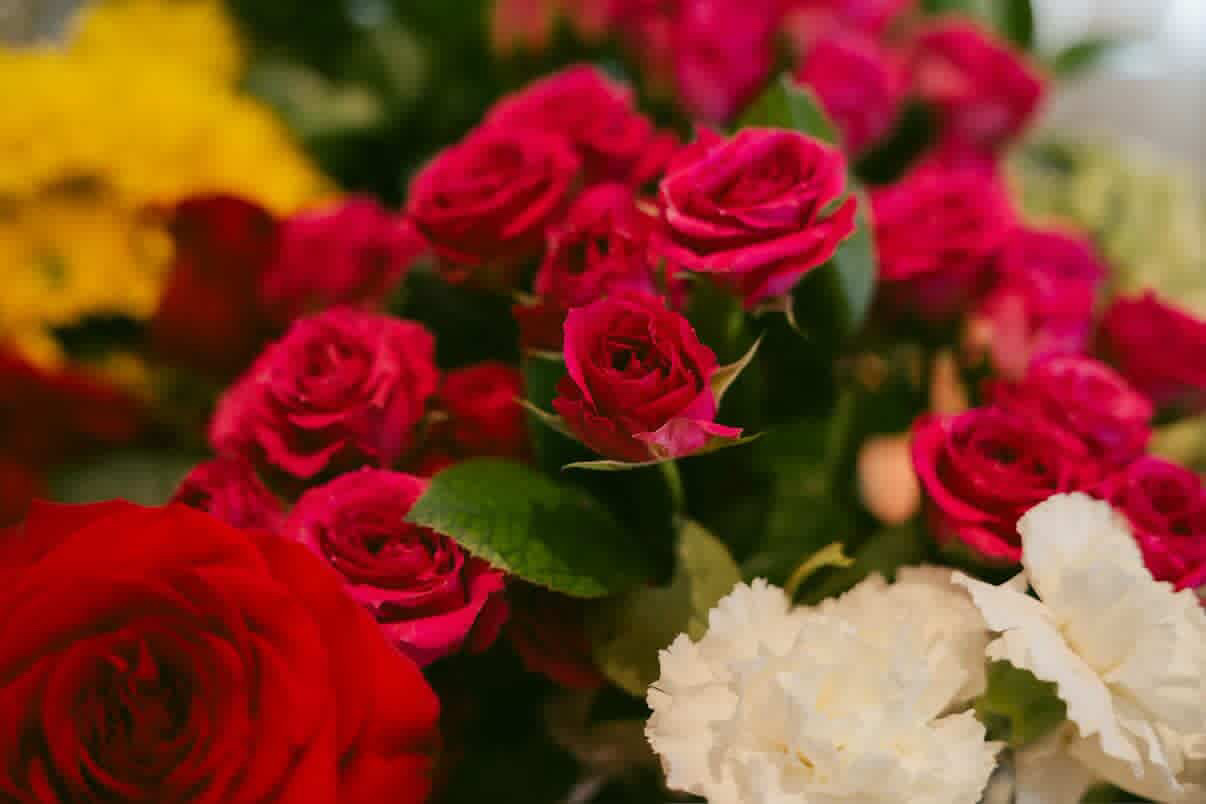 Meet two El Paso entrepreneurs – The Prospector