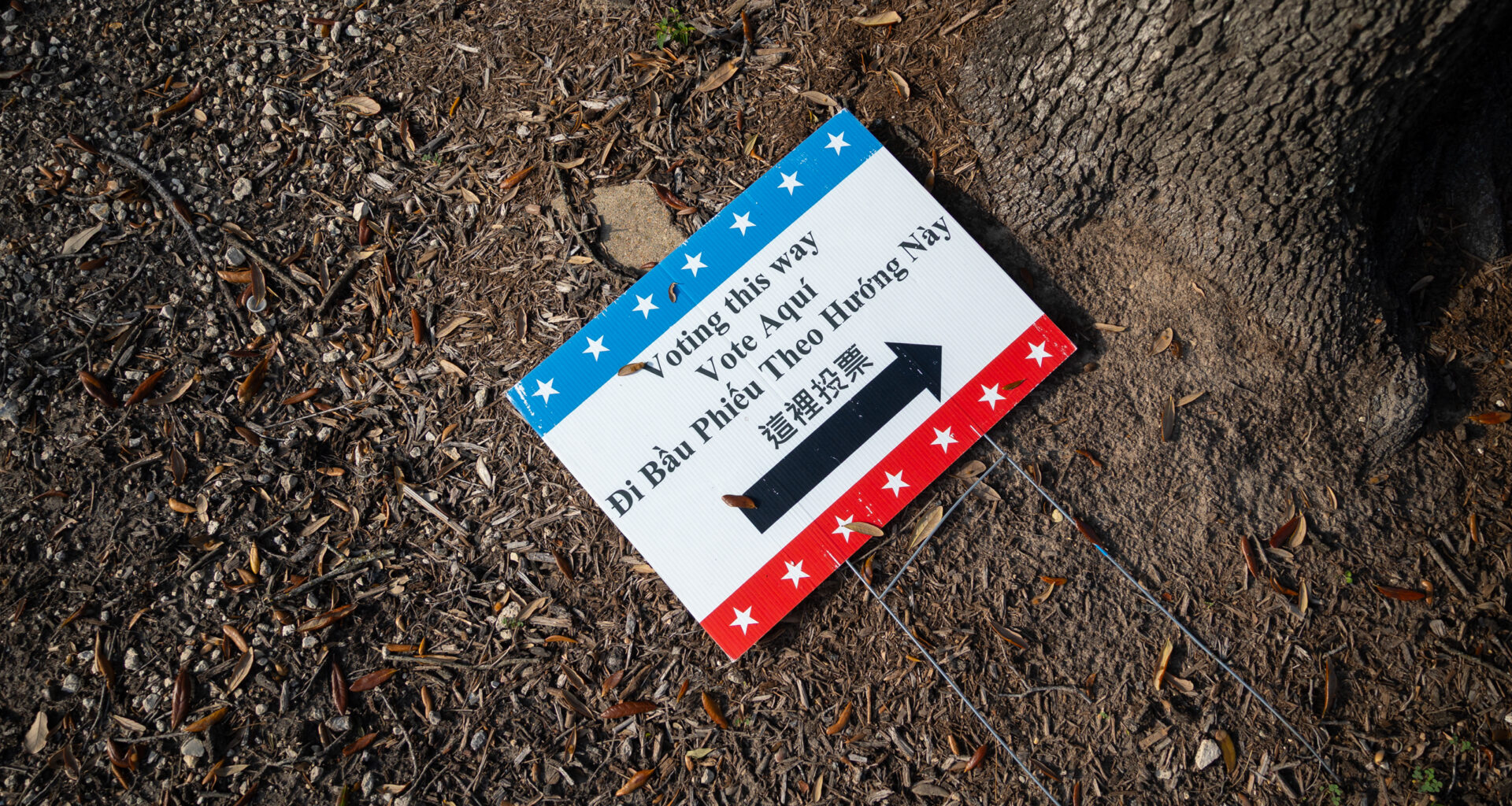 Texas 2026 primary results