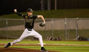 Pitching leads Panthers to two wins