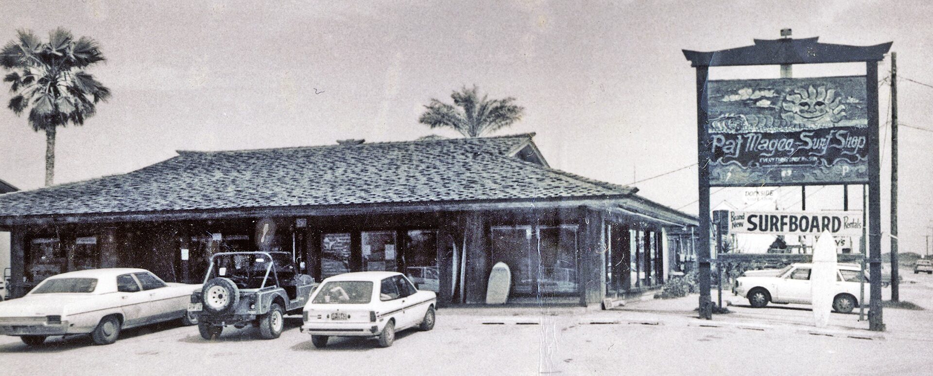 A wave of Port A surfing nostalgia