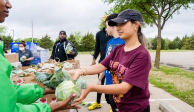 Free groceries available at UNT Dallas on March 20 – NBC 5 Dallas-Fort Worth