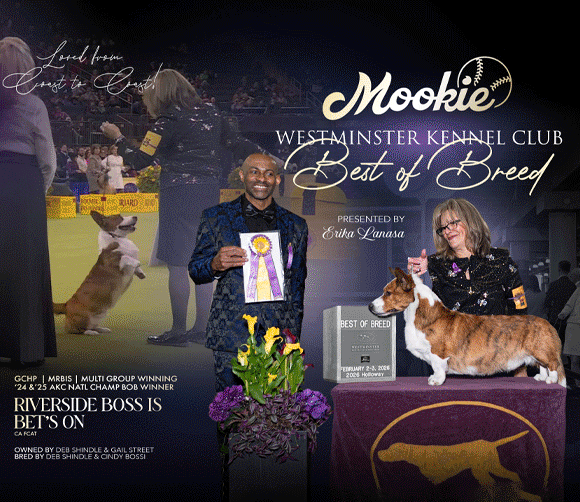 24 Shindle_March26_SR_Cardigan