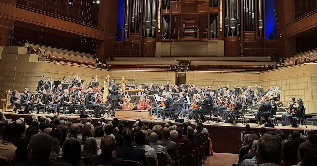 Novel ‘Pictures at an Exhibition’ from the Dallas Symphony