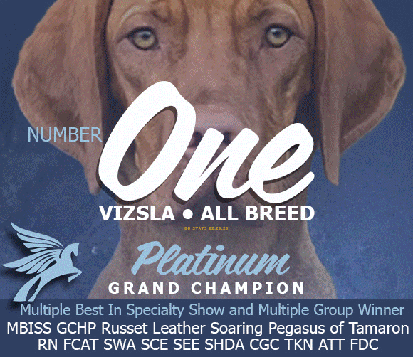 25 McClintock_Viszla_3_26SR