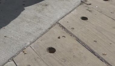 One week after reopening, Nueces County officials report vandalism at Bob Hall Pier