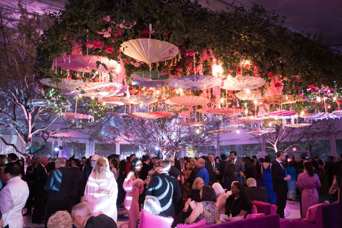 293_TigerBall_DanielOrtizPhoto_030626