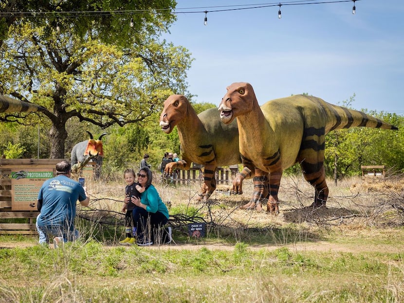 Meadowmere Park in Grapevine is turning into a walk-through dinosaur park from March 14 to...