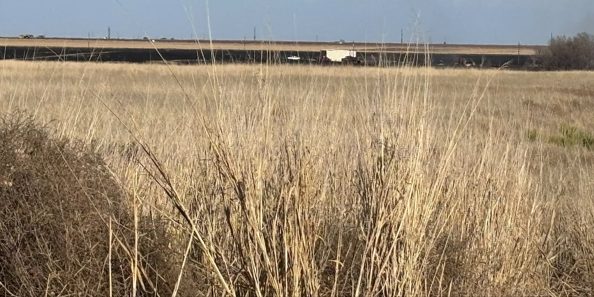 Area departments called to fire north of Shallowater on Sunday afternoon