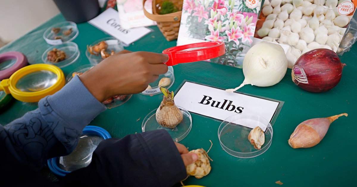 Dallas ISD program to send 48,000 students on STEM field trips. Here’s why