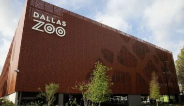 Dallas Zoo increases parking by 55% with new lot, EV chargers