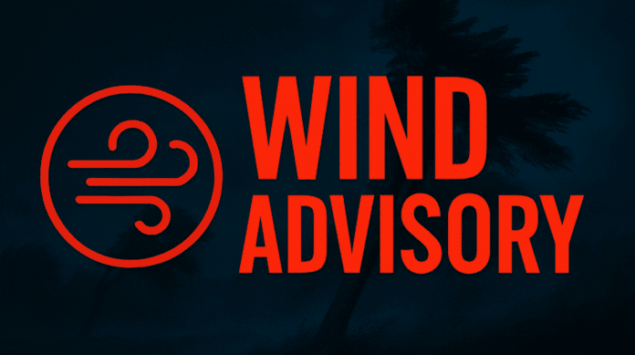 2d0542ae-fd9b-4154-bd42-71cdaf5036a0