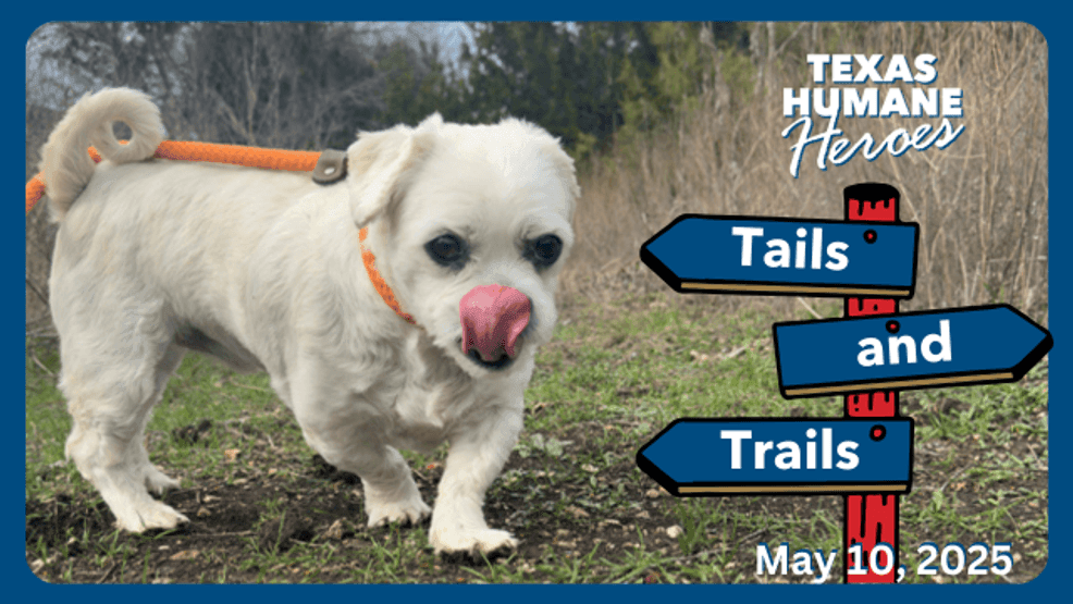 Looking ahead, Texas Humane Heroes has an event called “Tails and Trails” coming up, and the organization is also working on new kennels — a project aimed at shaping the shelter’s future.