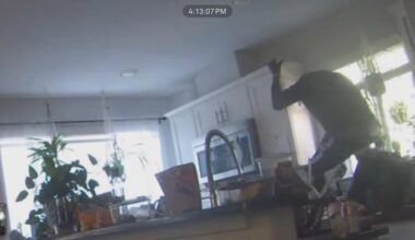 Man slips through widows to burglarize homes in Montrose area, investigators say