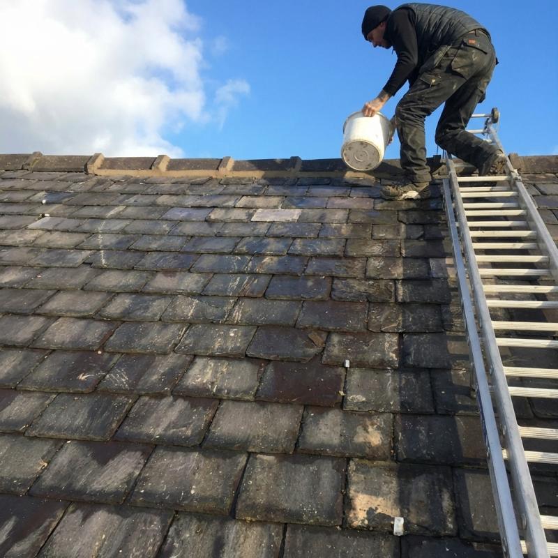 Trinity Ridge Roofing Highlights Rising Demand