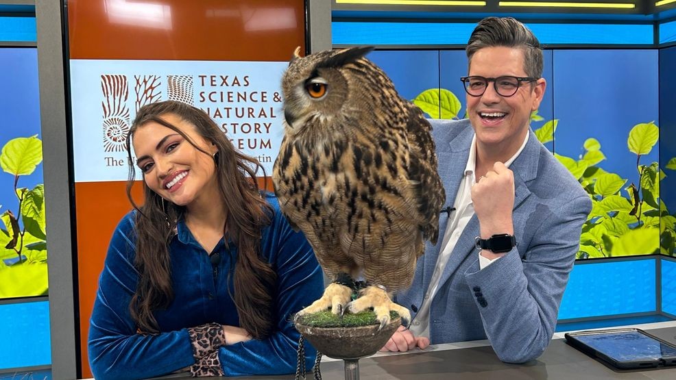 Owl-Bert the Owl Soars Into We Are Austin Ahead of Texas Wildlife Day! 