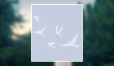 Nita Haney Obituary March 1, 2026